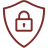 icons8-security-shield-48